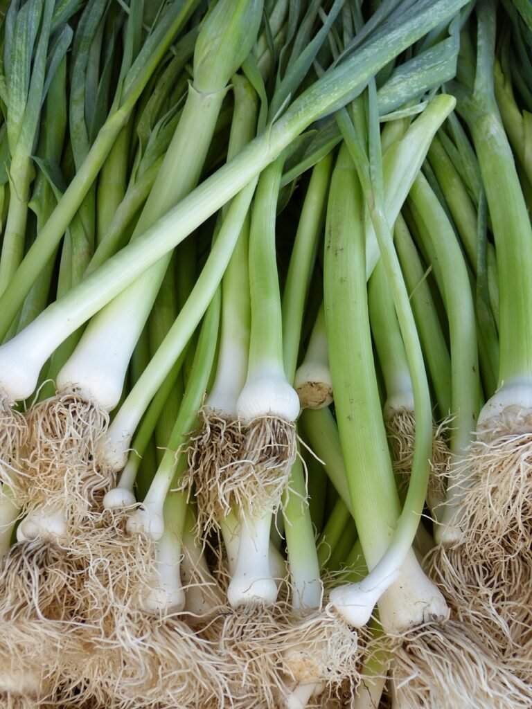 leek, spring onion, food-65277.jpg