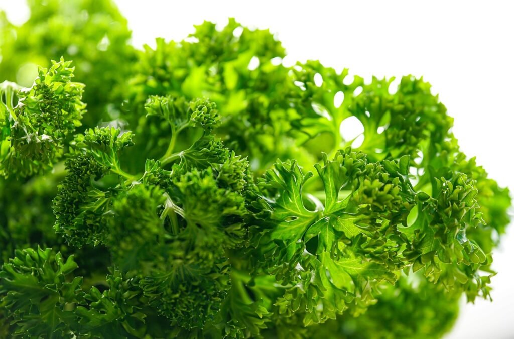 parsley, green, herbs-5501224.jpg